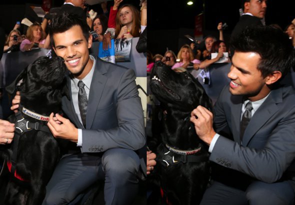 Fofura do dia: Taylor Lautner beija cachorro em tapete vermelho *-*