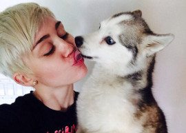 Miley Cyrus está muito triste! :cry: Também não é para menos: a diva acabou de perder um de seus melhores amigos, o seu cachorrinho de estimação Floyd. O cão morreu na madrugada desta terça-feira (02). Ela também usou as redes sociais para desabafar: "Não quero dizer porque não quero que seja real... Mas o meu precioso bebê Floyd faleceu. Eu estou despedaçada", contou ela aos seguidores do Twitter. Mesmo assim, ela prometeu dar o melhor para os fãs de Boston no show que fará por lá.