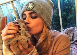 Conheça Cecil, o coelho de estimação da Cara Delevingne