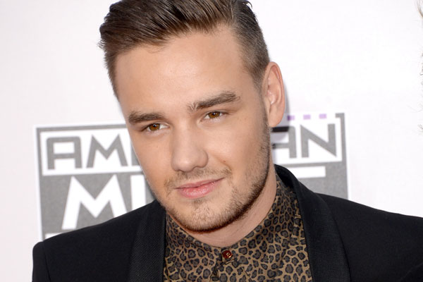 liam payne 