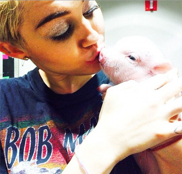 Miley Cyrus e porquinha recém-adotada Bubbe Sue (Foto: Instagram)