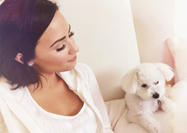 Demi Lovato perde seu cachorro "Buddy", em acidente trágico