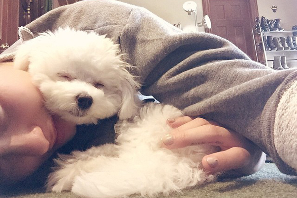 Demi Lovato perde seu cachorro "Buddy", em acidente trágico