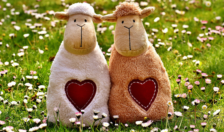 casal de ovelhinhas de pelúcia