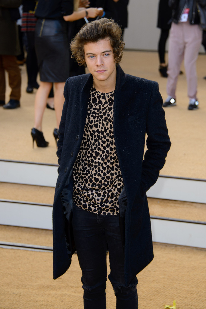 harry styles camisa estampada