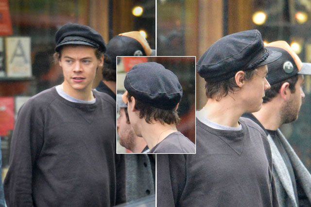 Harry styles cabelo curto