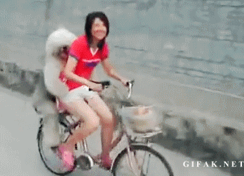 gif menina com cachorro na bicicleta