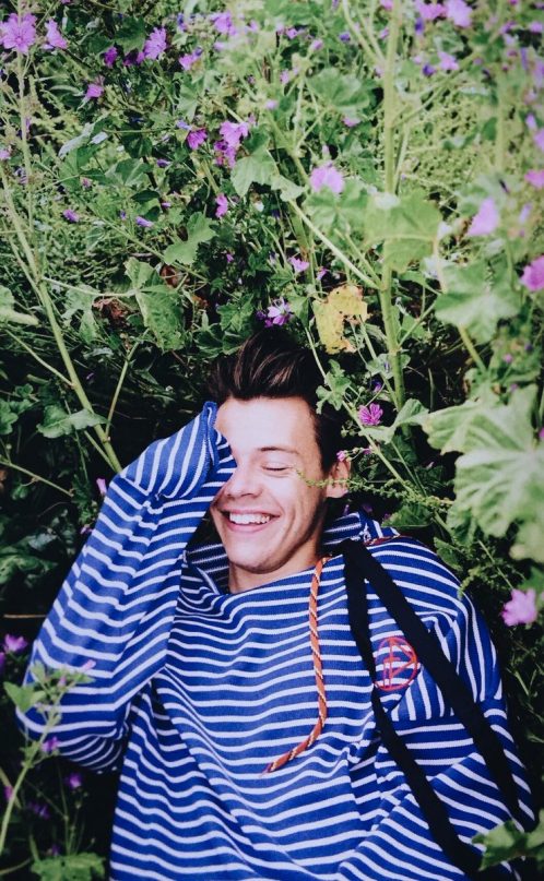 harry styles rindo nas plantas