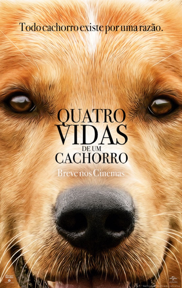 quatro vidas de um cachorro livros que vão virar filme