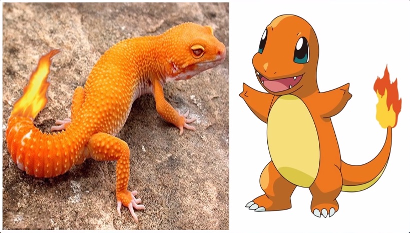 Pokémons da vida real