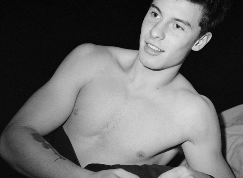 shawn mendes hero 02