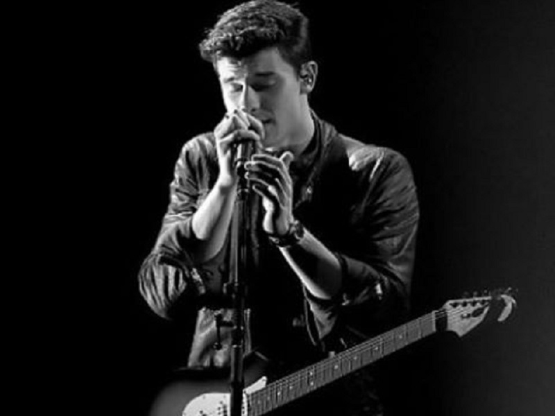 Shawn Medes fará show no Brasil