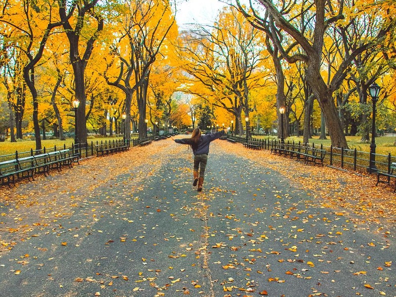 menina em uma paisagem inspiradora com árvores e paisagem de outono