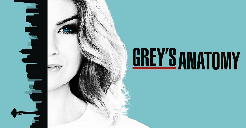 Ilustração de Grey's Anatomy com Meredith