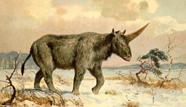 Unicórnios siberianos
