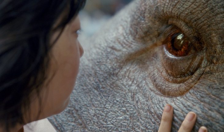 7 motivos para assistir Okja, nova produção da Netflix