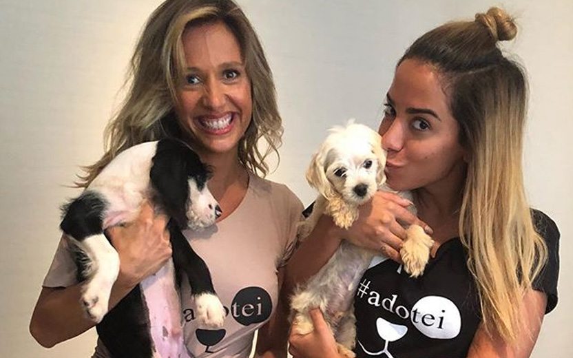 Cachorros da Anitta foram adotados através de Luiza Mell