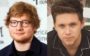 Duelo de Gatos: Ed Sheeran ou Niall Horan