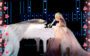 Lady Gaga cantando no palco