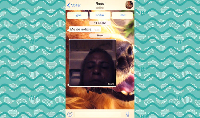 11 mães no WhatsApp que poderiam MUITO ser a sua