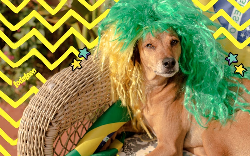 Cachorro torcendo para os jogos do Brasil na Copa