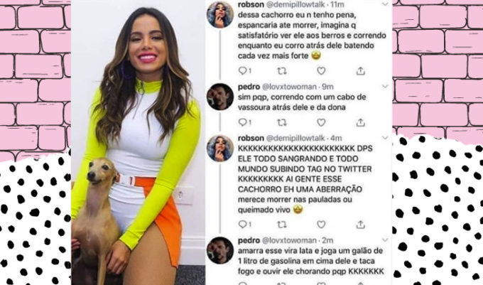 cachorro da Anitta morreu