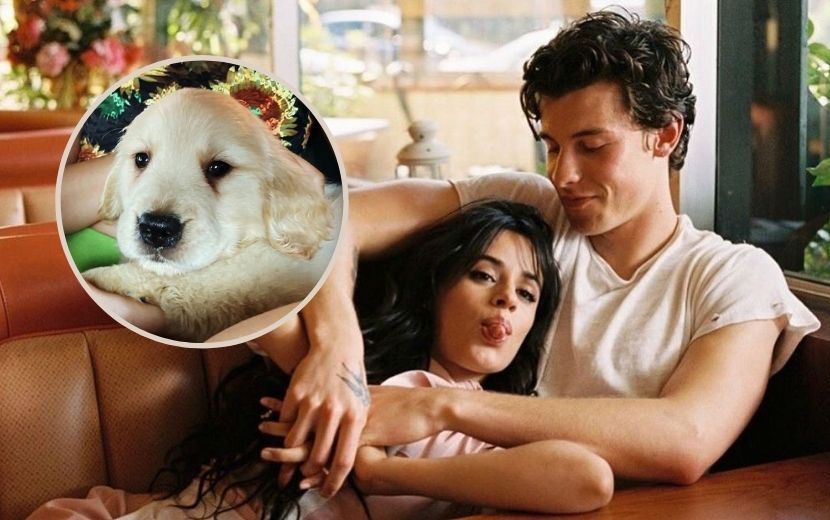 Shawn Mendes e Camila Cabello apresentam novo cãozinho com fotos e vídeos fofos!