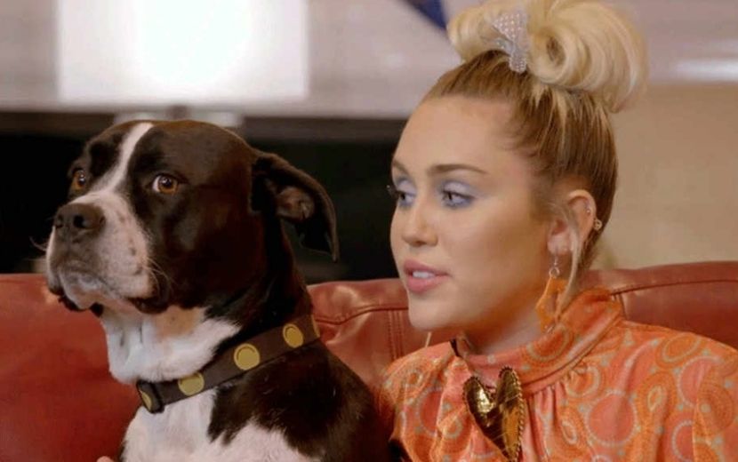 Após falecimento de cachorra, Miley Cyrus divulga música em homenagem ao pet
