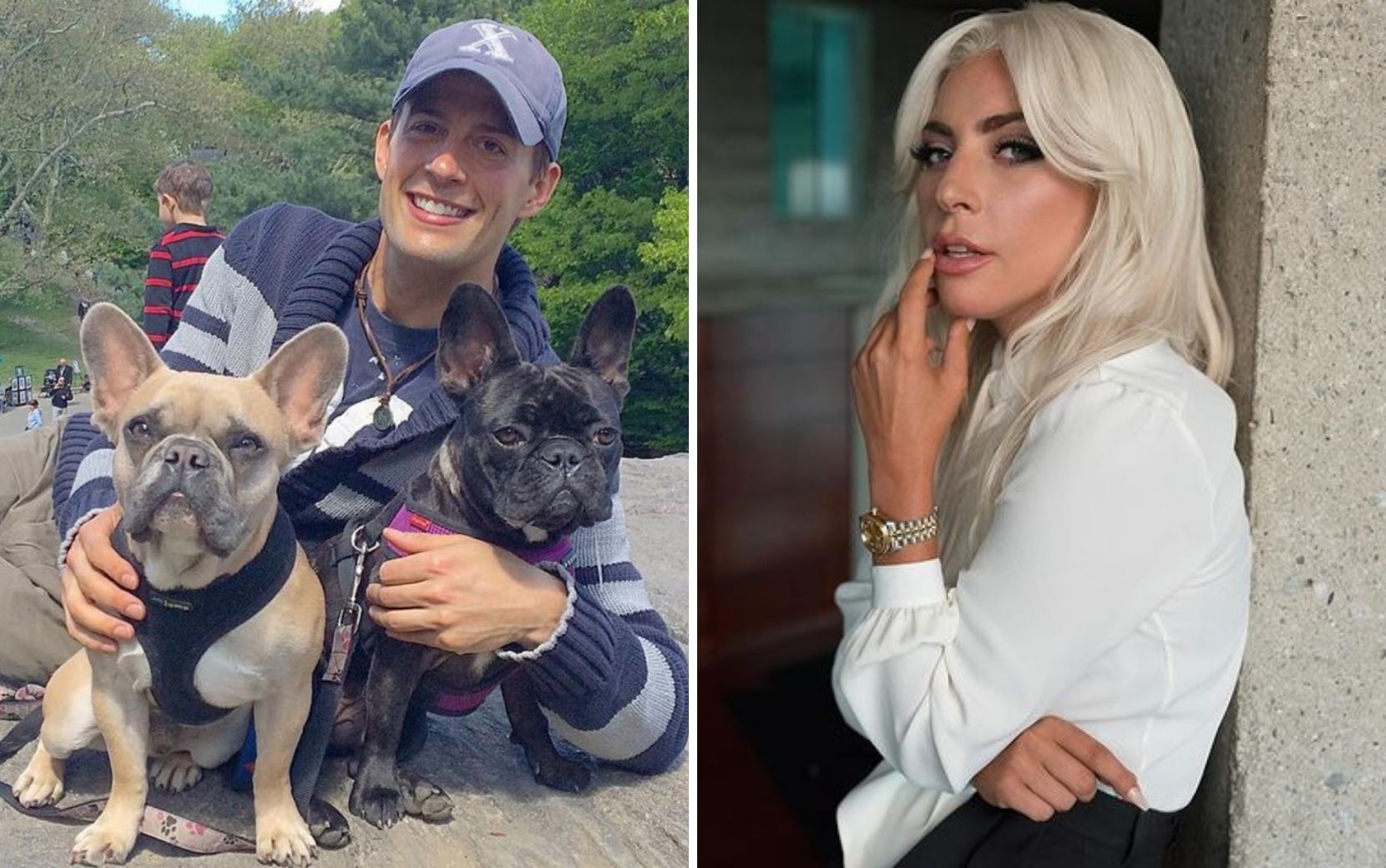 Funcionário baleado durante roubo dos cães de Lady Gaga se pronuncia sobre o crime