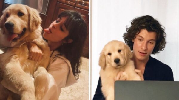 Camila Cabello e Shawn Mendes criam Instagram para cão e é a coisa mais fofa que você vai ver