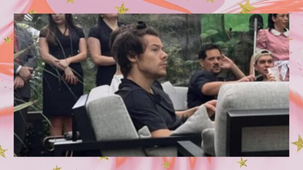 Harry Styles no Brasil: cantor é flagrado assistindo jogo da Seleção, em São Paulo!