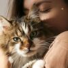 5 coisas que você precisa saber antes de adotar um gato