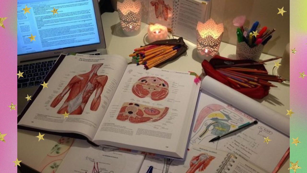 Medicina: tudo o que você precisa saber sobre o curso antes de aplicar para o vestibular