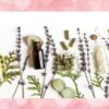 Respira, sente o cheiro… e relaxa! Confira os benefícios da aromaterapia